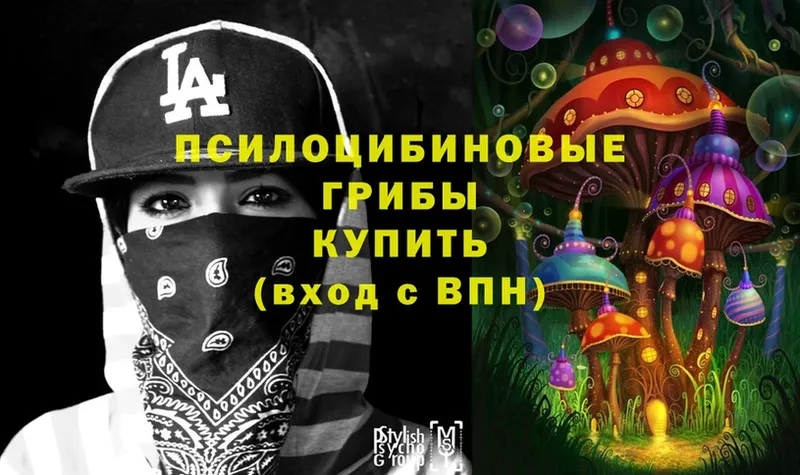 дарнет шоп  Егорьевск  Псилоцибиновые грибы Cubensis 